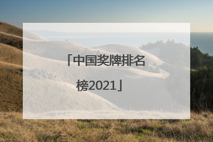 「中国奖牌排名榜2021」中国奖牌排名榜2020