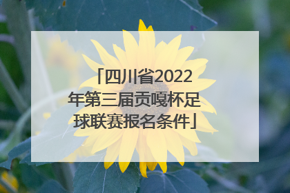 四川省2022年第三届贡嘎杯足球联赛报名条件
