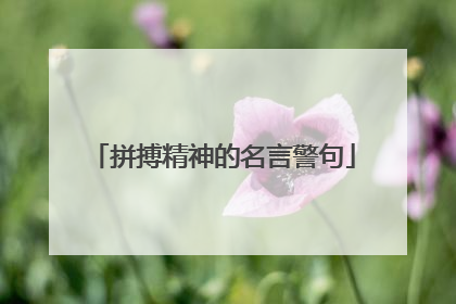 「拼搏精神的名言警句」拼搏精神的名言警句中国古文