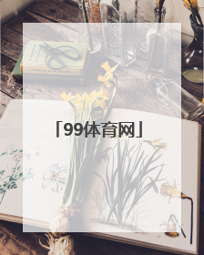 「99体育网」手机搜狐体育网