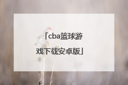 「cba篮球游戏下载安卓版」中国篮球游戏CBA